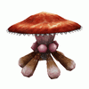 Myconid
